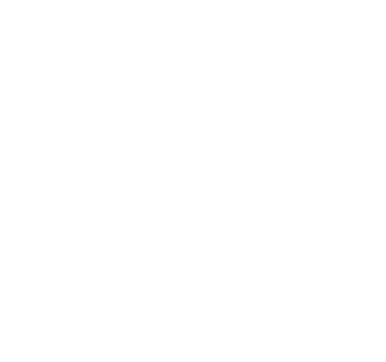 Médailles officielles